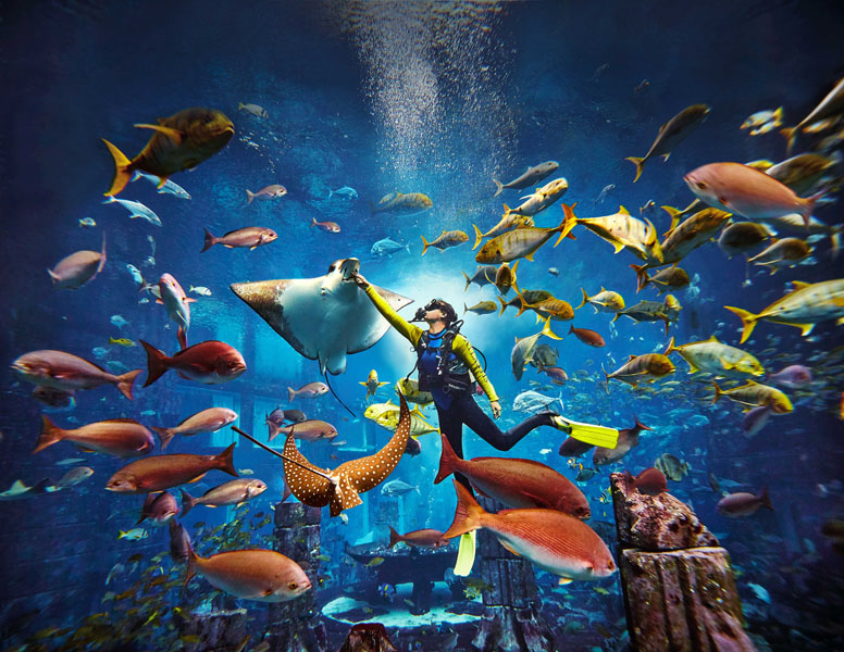 AW_AQUARIUM-EXPERIENCES_HERO-IMAGE_01
