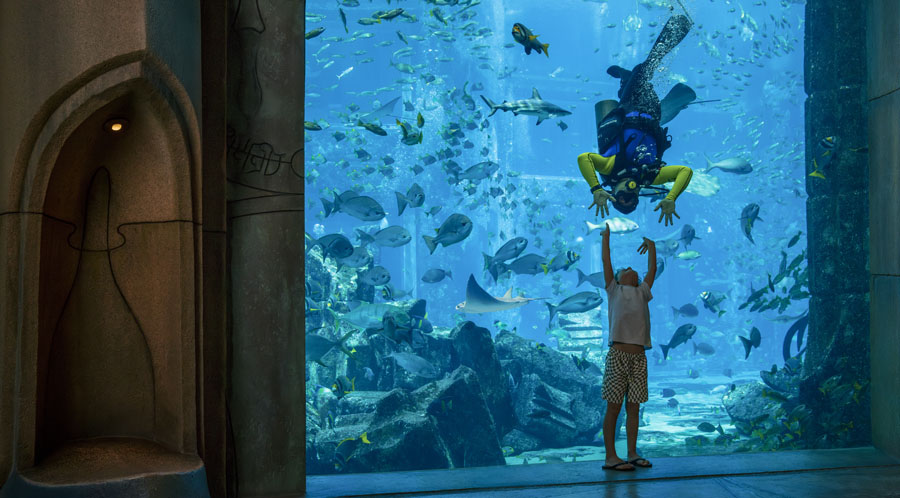 AW_The-Lost-Chambers-Aquarium_01