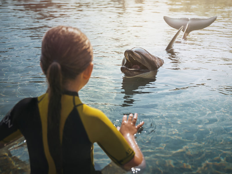 Aquaventure-World_Dolphin-Bay-5