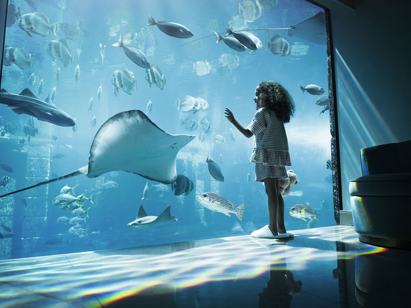 PHY2025.04_UNDERWATER_SUITE_0846_LR