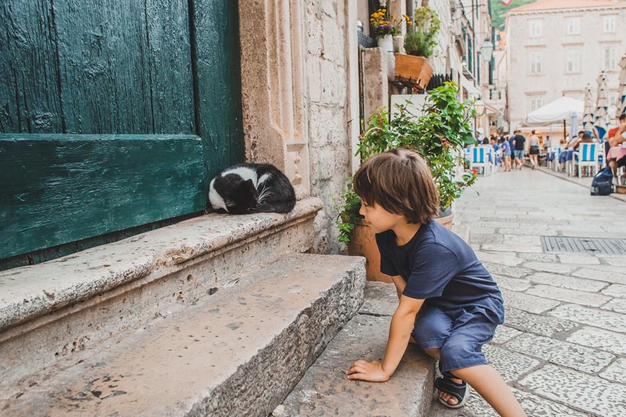 Street cat and a boy in the old town of Dubrovnik