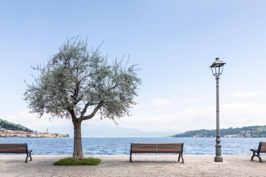Pre-Opening picture pool, Salò, Lake Garda,
Falkensteiner Resort Lake Garda