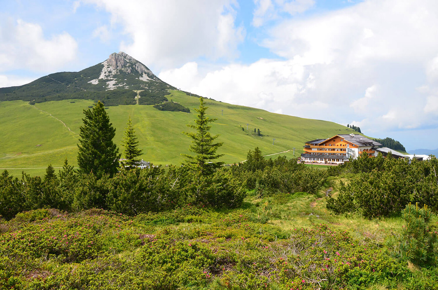 Hotel Schwarzhorn passo oclini alto adige