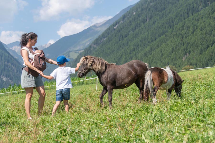 Linara Mountain Family Stay 6 Rio di Pusteria