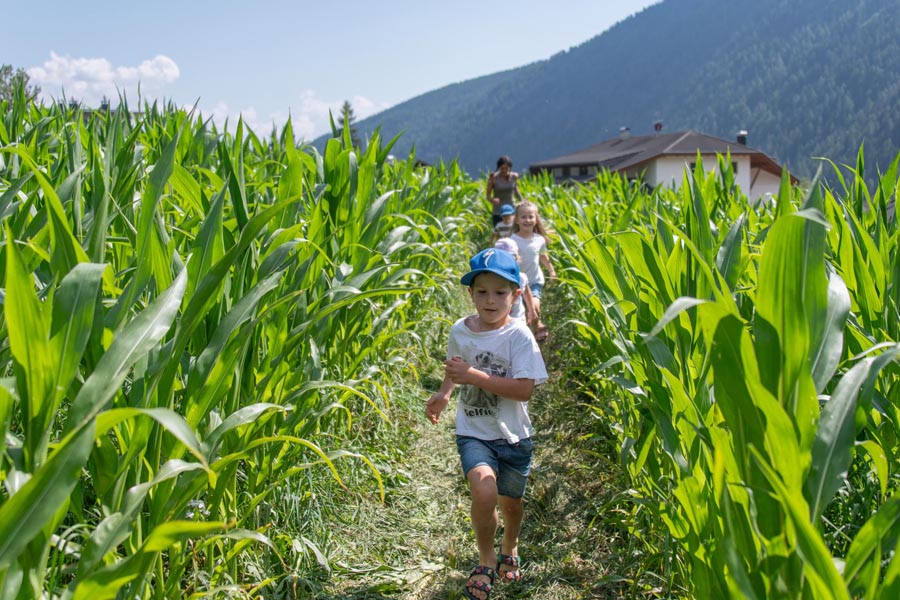 Linara Mountain Family Stay 7 - attività per bambini nella natura