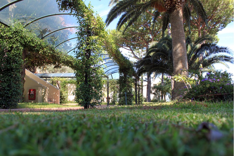 vacanze con bimbi a ischia