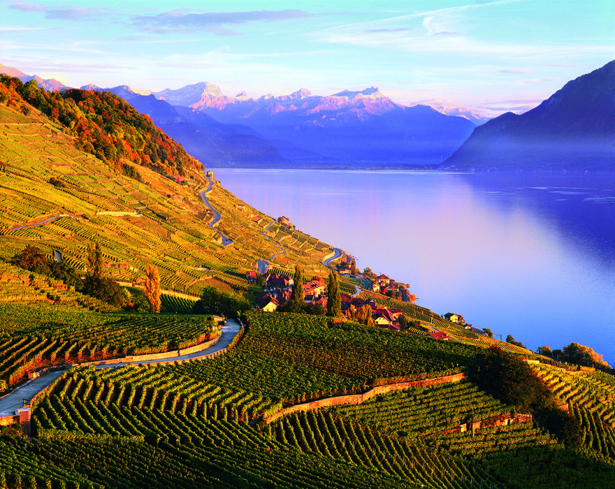 Lavaux