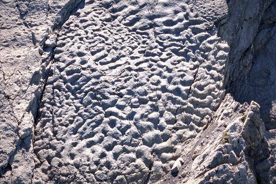 triassic park stelvio bormio