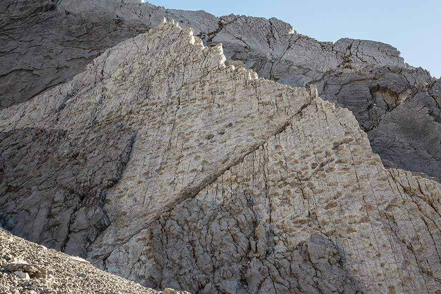 triassic park stelvio bormio